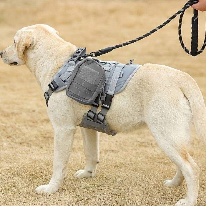 Outdoor Dog Harness With Pet Leash