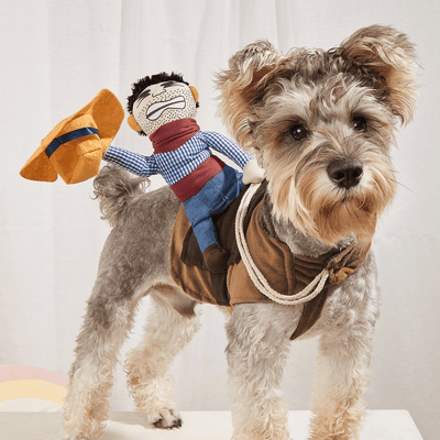 Cowboy Rider Dog Costume