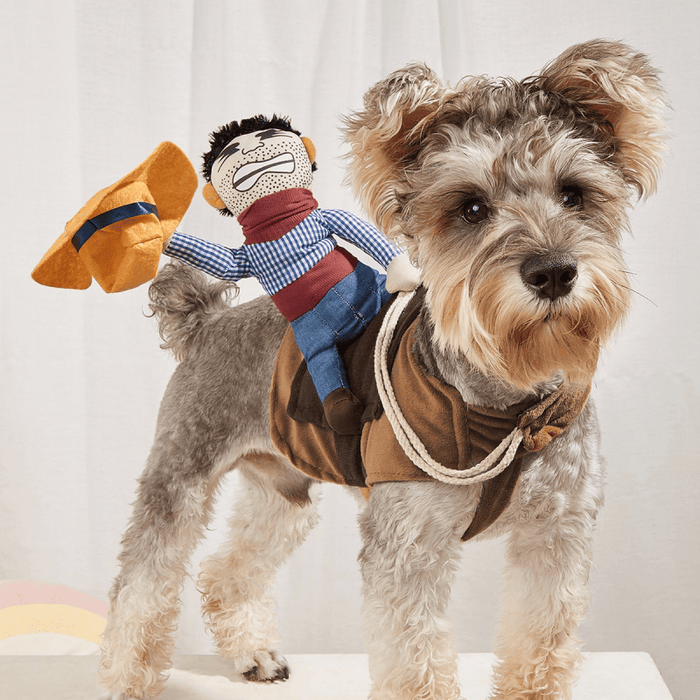 Cowboy Rider Dog Costume